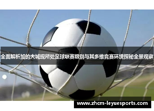 全面解析加的夫城现所处足球联赛级别与其多维竞赛环境探秘全景观察 全面解析加的夫城现所处足球联赛级别与其多维竞赛环境探秘全景观察