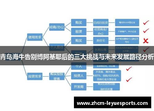 青岛海牛告别博阿基耶后的三大挑战与未来发展路径分析